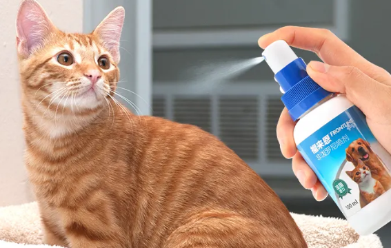猫咪宠物体外驱虫