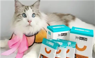 猫咪用哪些益生菌