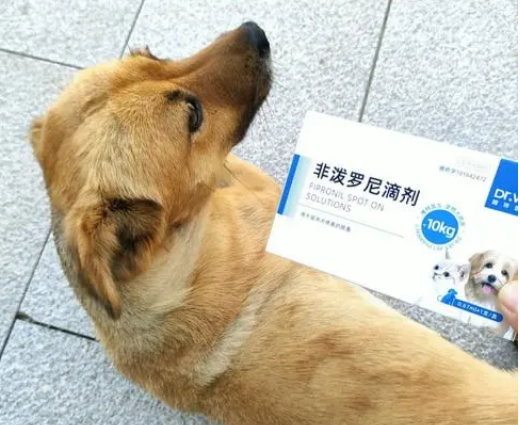 狗狗体外驱虫药在哪里买 狗狗体外驱虫药在哪里买