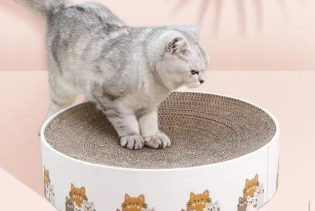 猫抓板什么样
