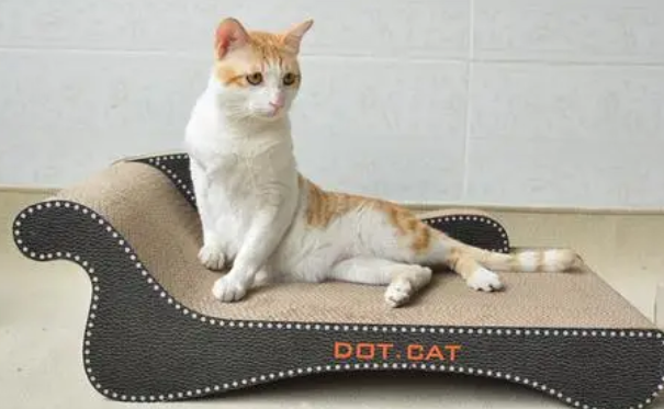 猫抓板哪个牌子好 猫抓板哪个牌子好