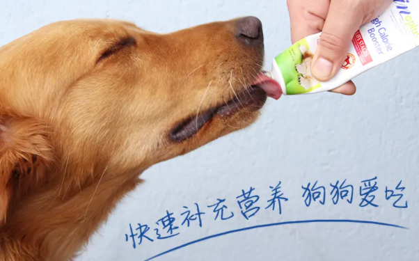 金毛吃什么营养膏