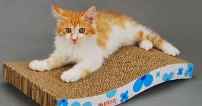 猫抓板什么材质 猫抓板什么材质