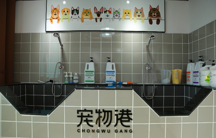 宠物店供应商有哪些