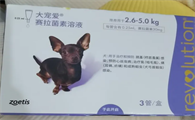 泰迪狗体外驱虫药排行榜