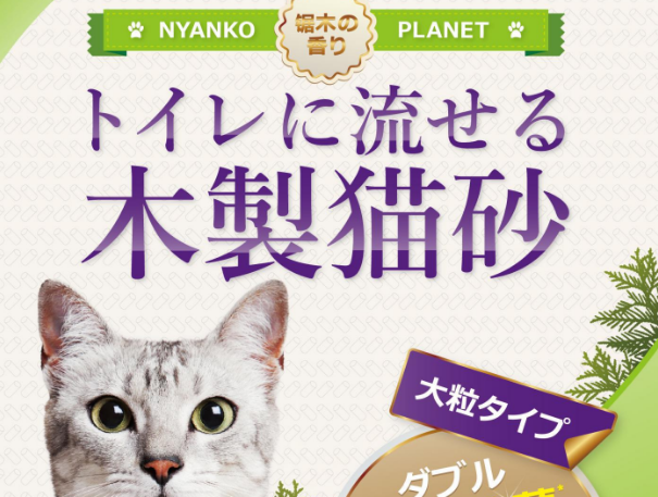 星际喵品牌:来自以爱培育品质著称的爱猫研究中心 星际喵品牌:来自以爱培育品质著称的爱猫研究中心