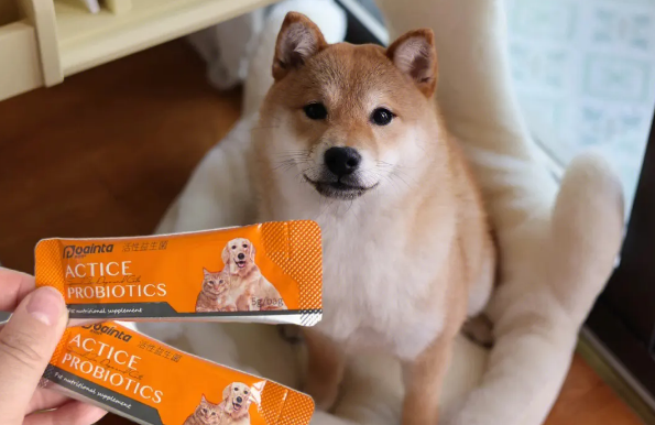益生菌狗狗可以多吃吗