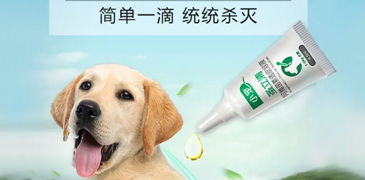 狗狗体外驱虫是把虫杀死了还是什么