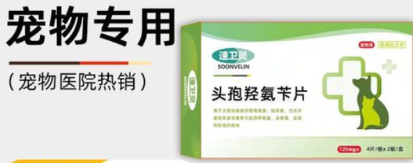 猫咪感冒可以用什么药
