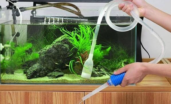 鱼缸换水温度怎么处理