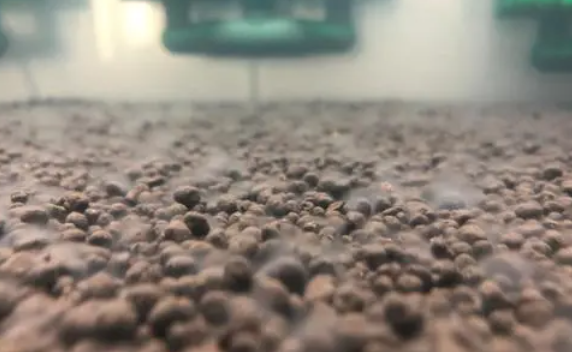 硝化菌放多了怎么补救
