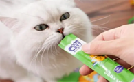 猫咪一天吃多少猫条
