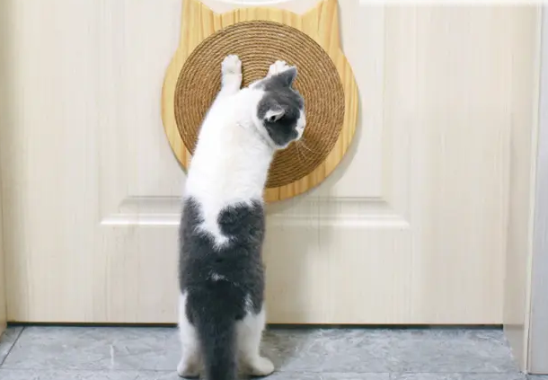 哪里有买猫抓板 哪里有买猫抓板