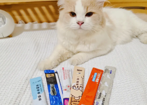 猫咪吃猫条流眼泪原因 猫咪吃猫条流眼泪原因