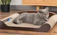 猫咪为什么抓猫抓板