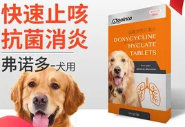 狗狗感冒药多少钱一盒
