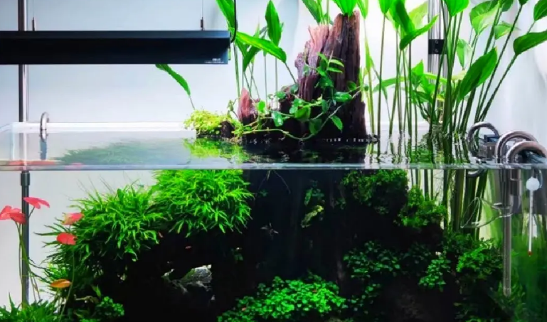 鱼缸可以放假水草吗