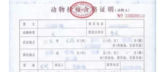 今日科普:狗狗检疫证在哪里办? 今日科普:狗狗检疫证在哪里办?