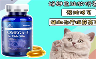 猫咪专用鱼油推荐