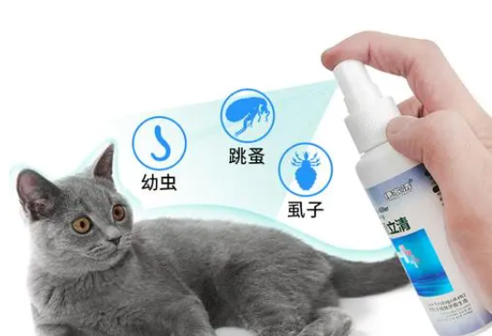 宠物怎么体外驱虫 宠物怎么体外驱虫
