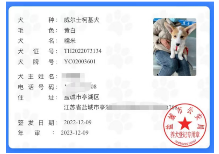 速看！《养犬登记证》详细办理流程