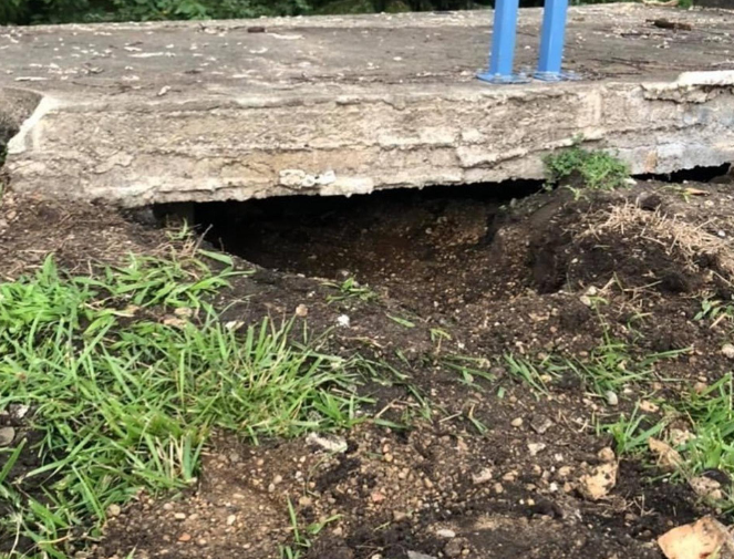 桥底传出诡异声,花1小时挖地洞,抱出6只藏身小猫咪 桥底传出诡异声,花1小时挖地洞,抱出6只藏身小猫咪