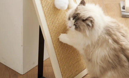 猫抓板买哪种