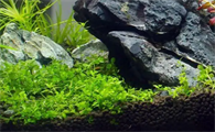 鱼缸水草泥价格