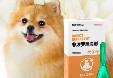 一个月的狗狗能体外驱虫吗