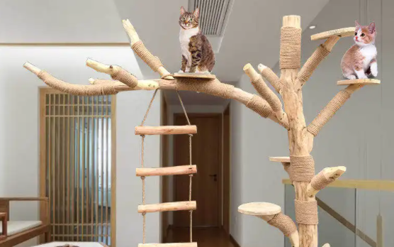 猫爬架哪种品牌好 猫爬架哪种品牌好