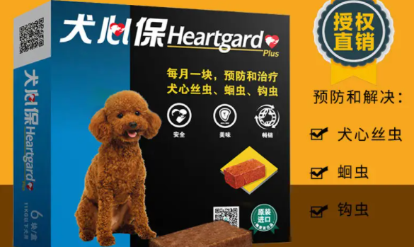 泰迪犬体内驱虫用什么药好