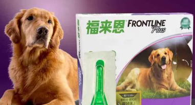 宠物狗用什么体外驱虫效果最好