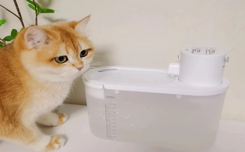 猫咪饮水机