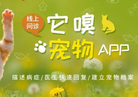 它嗅宠物上的宠物衣服多吗 它嗅宠物上的宠物衣服多吗