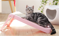 猫咪猫抓板有什么用