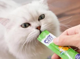 猫条吃多少合适