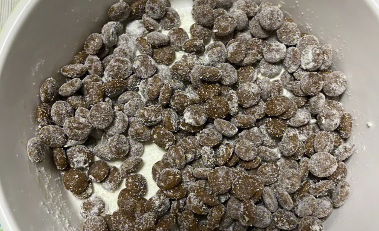 狗狗益生菌排行