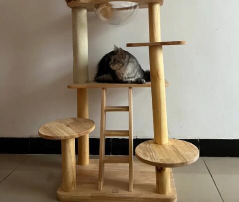 猫爬架有用吗
