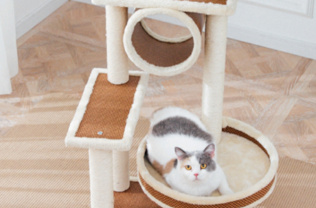 猫爬架有没有必要买 猫爬架有没有必要买