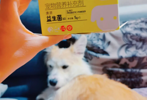 什么牌子的宠物益生菌好 什么牌子的宠物益生菌好