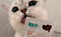 猫咪的益生菌怎么喂