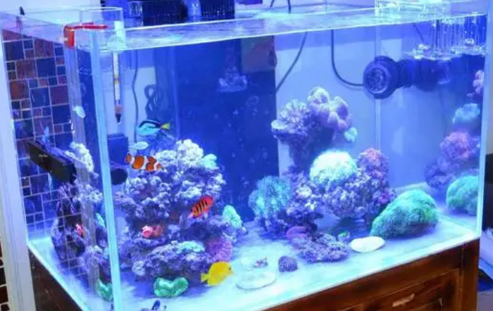 鱼缸水泵能增氧吗
