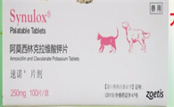 小狗能吃的消炎药