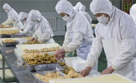 宠物食品加工厂加盟