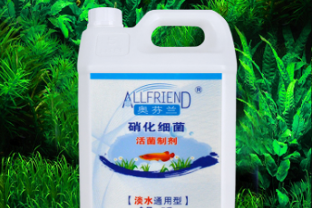 硝化菌怎么养 硝化菌怎么养
