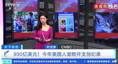 疯狂小狗好不好?专注宠物幸福生活疯狂的小狗狗粮C位出圈 疯狂小狗好不好?专注宠物幸福生活疯狂的小狗狗粮C位出圈