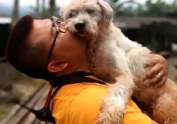 狗狗回村过年，接连拐带2只幼犬回家，这是要把家底都吃光？