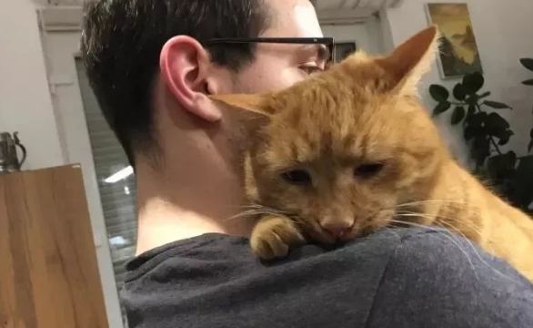 养猫的男人都是为了性