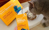 宠物猫益生菌怎么吃