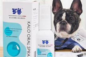 狗狗牙发炎吃什么消炎药